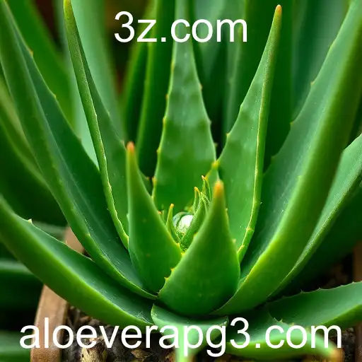 Crescimento Sustentável e Saúde: O Mercado de Aloe Vera no Brasil