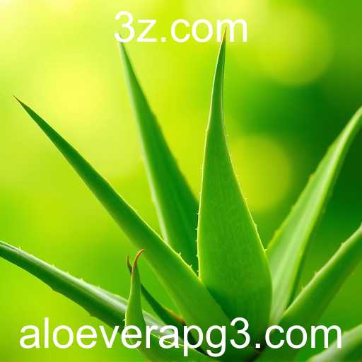 A Evolução do Mercado de Aloe Vera no Brasil