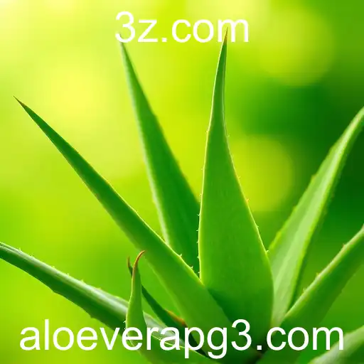 A Evolução do Mercado de Aloe Vera no Brasil